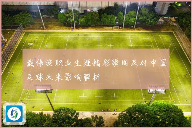 戴伟浚职业生涯精彩瞬间及对中国足球未来影响解析