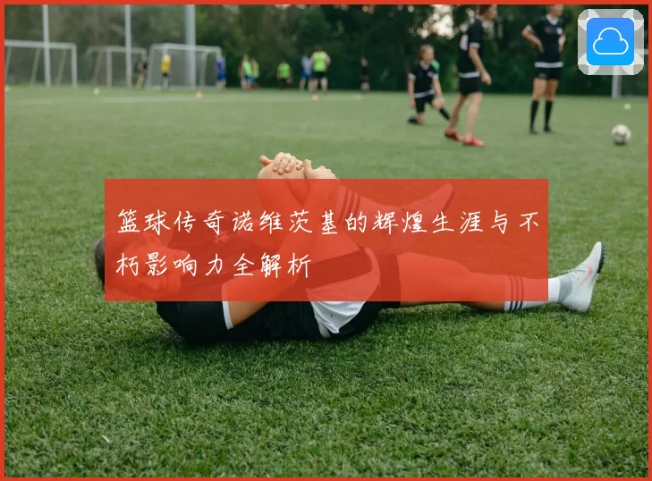 篮球传奇诺维茨基的辉煌生涯与不朽影响力全解析