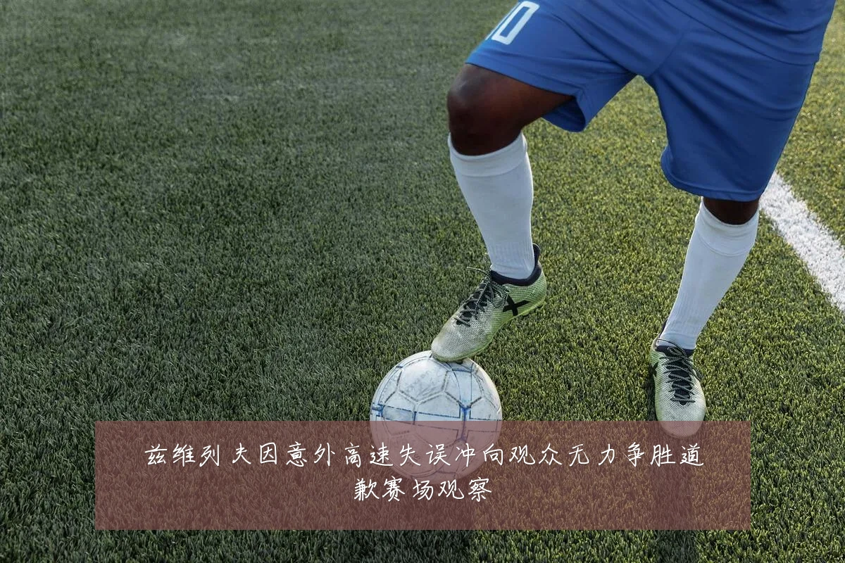 兹维列夫因意外高速失误冲向观众无力争胜道歉赛场观察